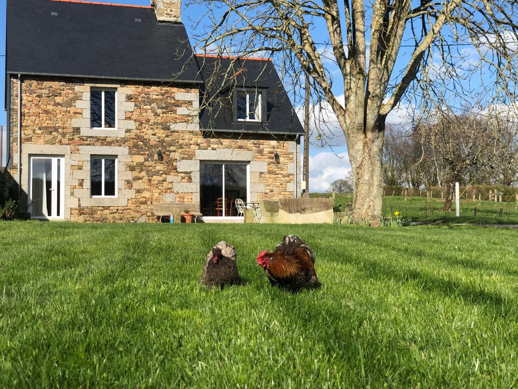 Maison Chic Proche Du Mont Saint Michel Marcilly  Ngoại thất bức ảnh